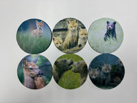 Baby Animals Series Circle Neoprene Coaster Set of 6