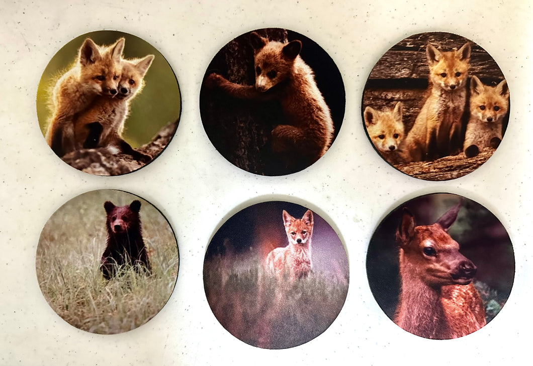 Baby Animals Series Circle Neoprene Coaster Set of 6