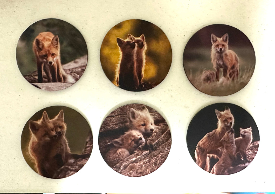 Red Foxes Series Circle Neoprene Coaster Set of 6