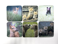 Baby Animals Series Square Neoprene Coaster Set of 6