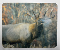 Call of the Wild Wildlife Photography Mousepad