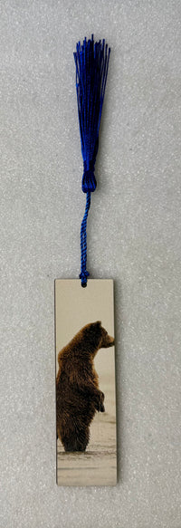 Small Coastal Brown Bear Hardboard Bookmark - Donna Feledichuk Wildlife Photography