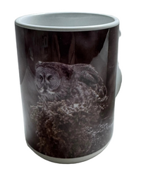 Stay Focused 15 oz mug