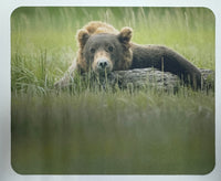 Just Chillin’ Wildlife Photography Mousepad