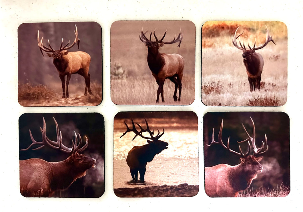 Elk Series Square Neoprene Coaster Set of 6