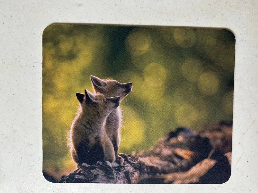 Two at Twilight Wildlife Photography Mousepad