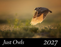 A nature print or calendar cover featuring a flying owl in warm golden light over a blurred grassy landscape, with the text 'Just Owls 2027' in a black band at the bottom.