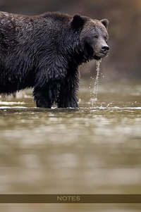 Grizzly Bear Lined Notebook
