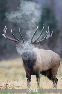 Bull Elk Lined Notebook