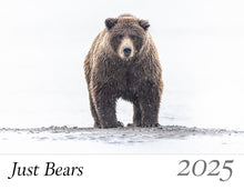 Load image into Gallery viewer, 2025 Just Bears Calendar Pre-Order
