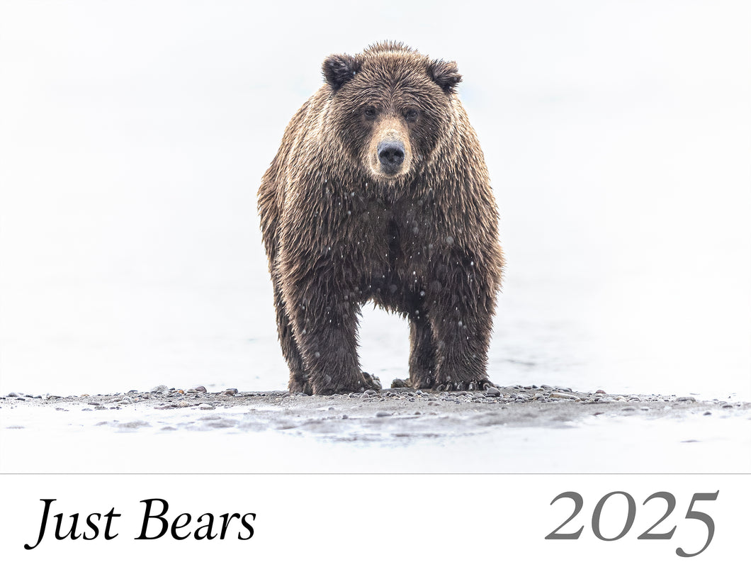 2025 Just Bears Calendar Pre-Order