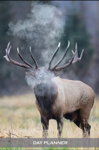 Daily Planner: Focused Agenda and To-Do List Organizer with Bull Elk Cover
