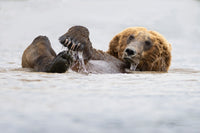 The Art of Doing Nothing 8" x 12" fine art matted print