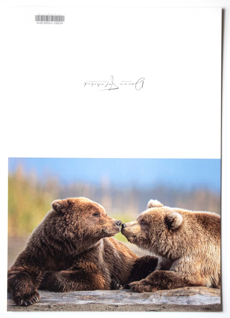 Fine art photography wildlife greeting card of coastal brown bears