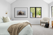 Load image into Gallery viewer, Let Sleeping Bears Lie Limited Edition Print
