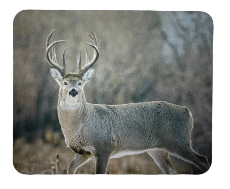 Don't Settle for Average Wildlife Photography Mousepad