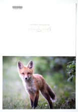Load image into Gallery viewer, Good Morning 5&quot; x 7&quot; Fine Art Wildlife Photography Greeting Card
