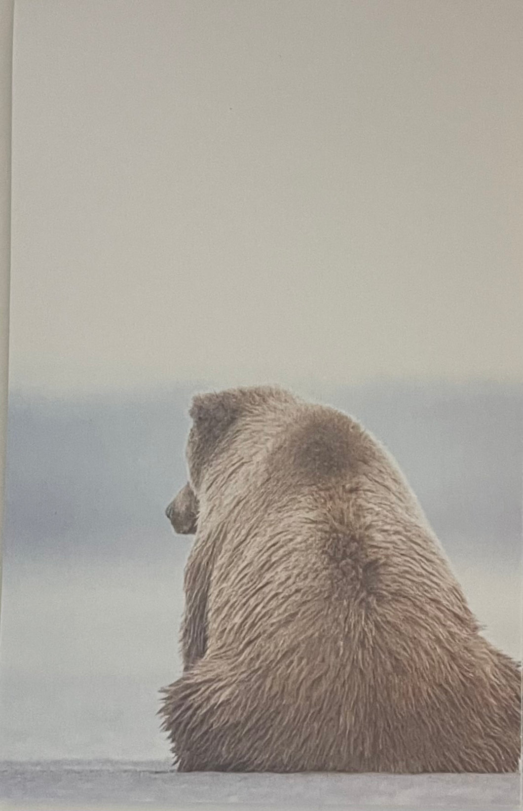 I Need a Vacation - Fine Art Wildlife Photography Large Notepad