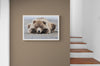 Waiting for Mom Limited Edition Print - Donna Feledichuk Wildlife Photography