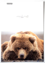 Load image into Gallery viewer, A fine art wildlife photography greeting card of a coastal brown bear
