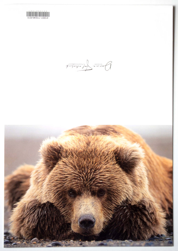A fine art wildlife photography greeting card of a coastal brown bear