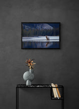Load image into Gallery viewer, An Elk With A View Limited Edition Print
