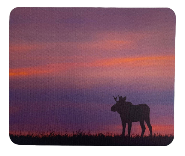 Moose at Sunset Wildlife Photography Mousepad