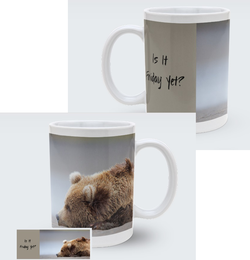 Is It Friday Yet? 11 oz mug - Donna Feledichuk Wildlife Photography