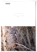 Load image into Gallery viewer, Fine art wildlife photography greeting card of a great gray owl 

