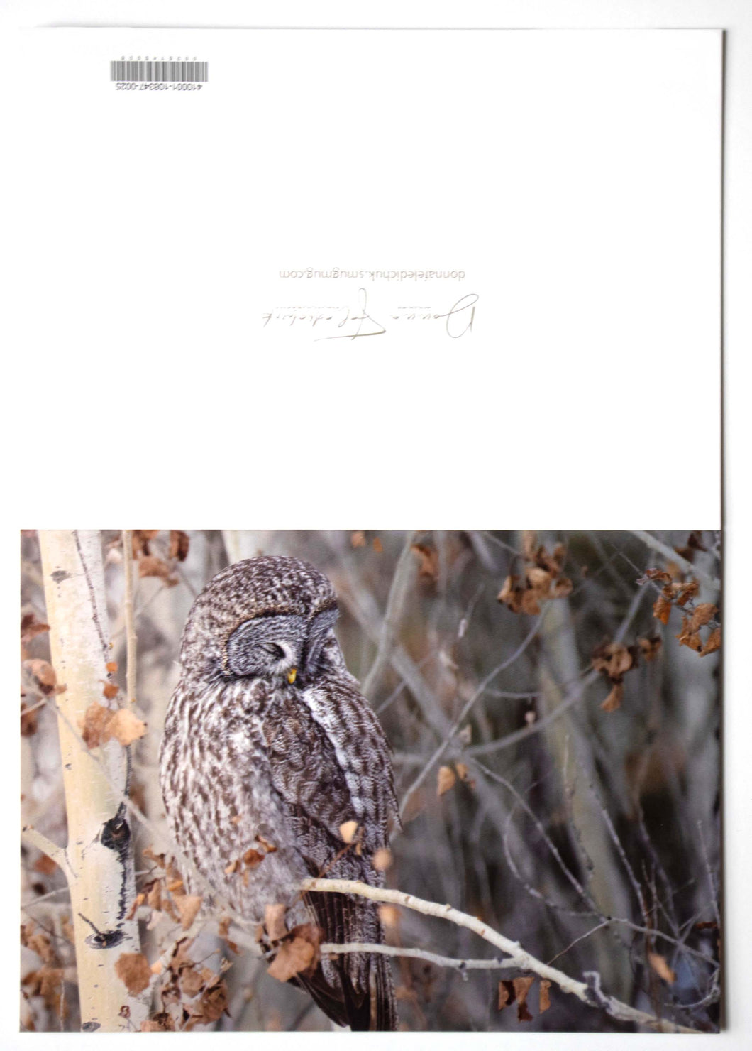 Fine art wildlife photography greeting card of a great gray owl 