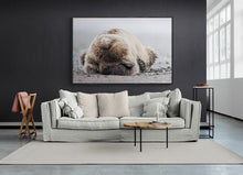 Load image into Gallery viewer, Let Sleeping Bears Lie Limited Edition Print
