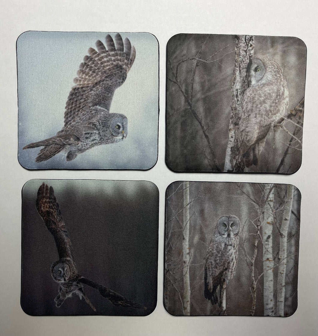 Great Gray Owl Square Neoprene Coaster Set