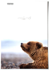 A fine art photography greeting card of a coastal brown bear cub