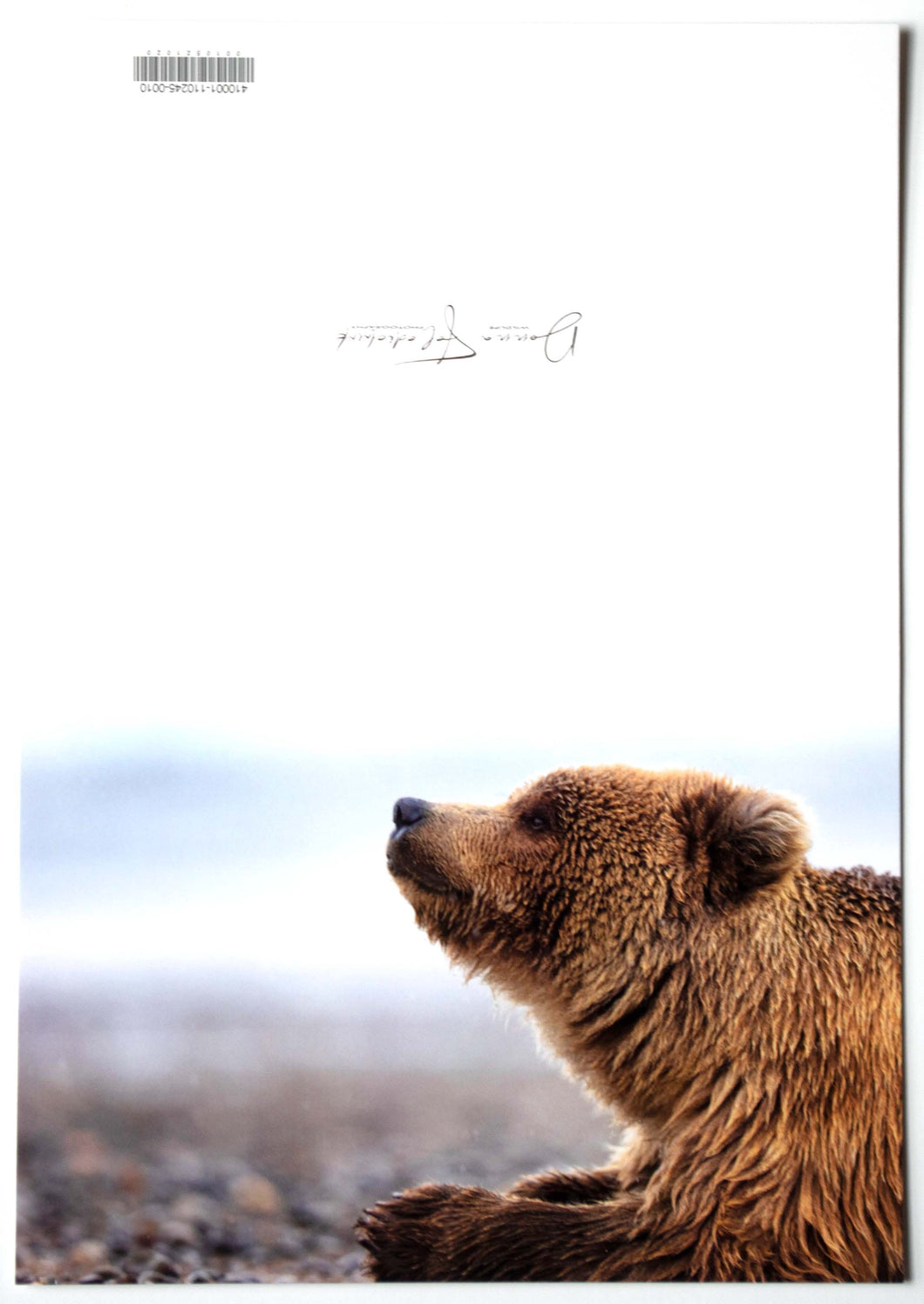 A fine art photography greeting card of a coastal brown bear cub