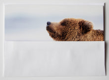 Load image into Gallery viewer, A fine art photography greeting card of a coastal brown bear cub

