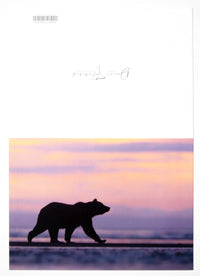 A fine art photography greeting card of a coastal brown bear