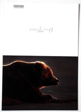 Load image into Gallery viewer, A fine art photography greeting card of a coastal brown bear 

