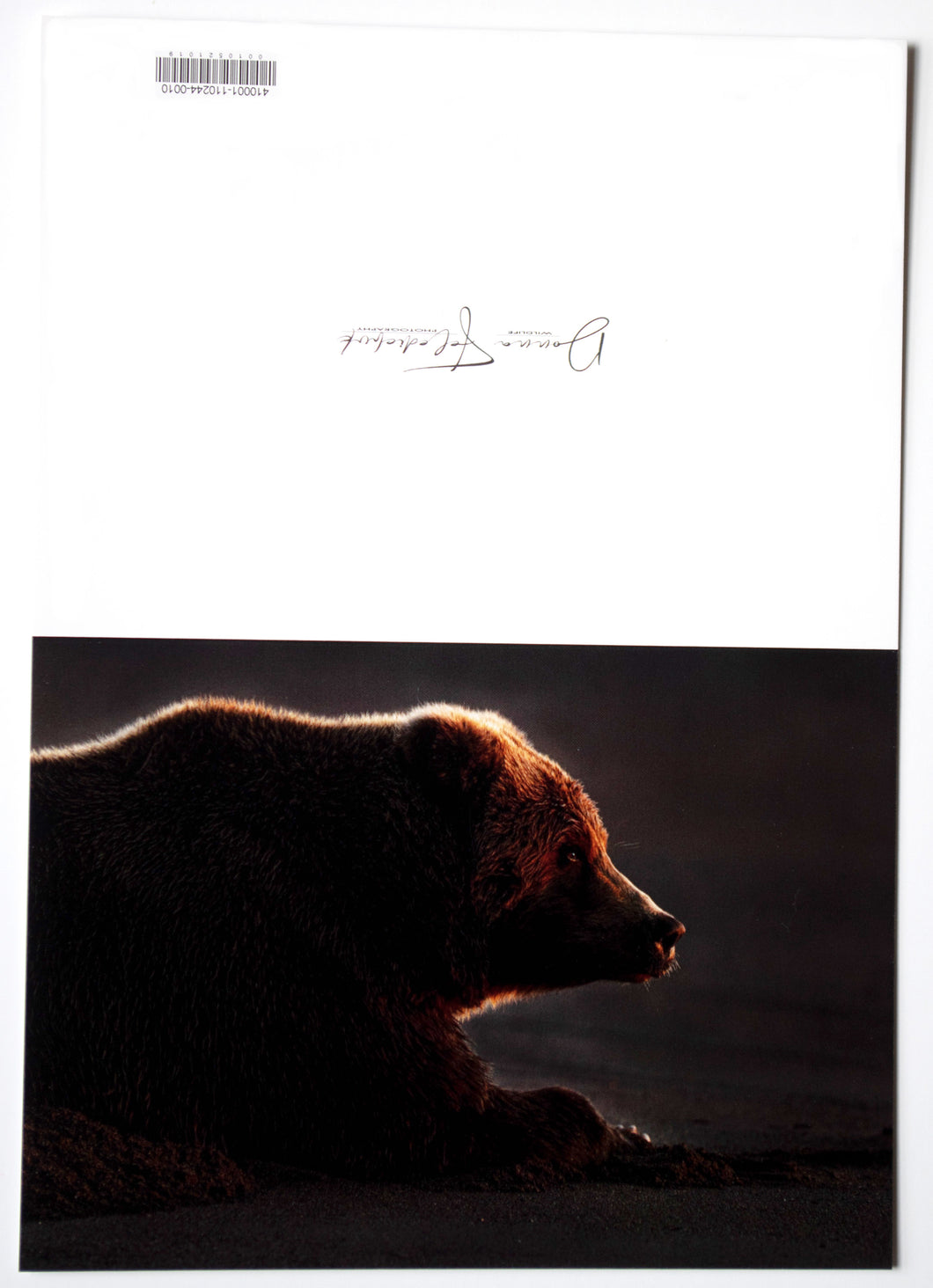 A fine art photography greeting card of a coastal brown bear 