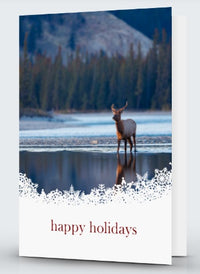 Mountain ElkScape 3.5" x 5' Fine Art Wildlife Photography Christmas Card - Donna Feledichuk Wildlife Photography