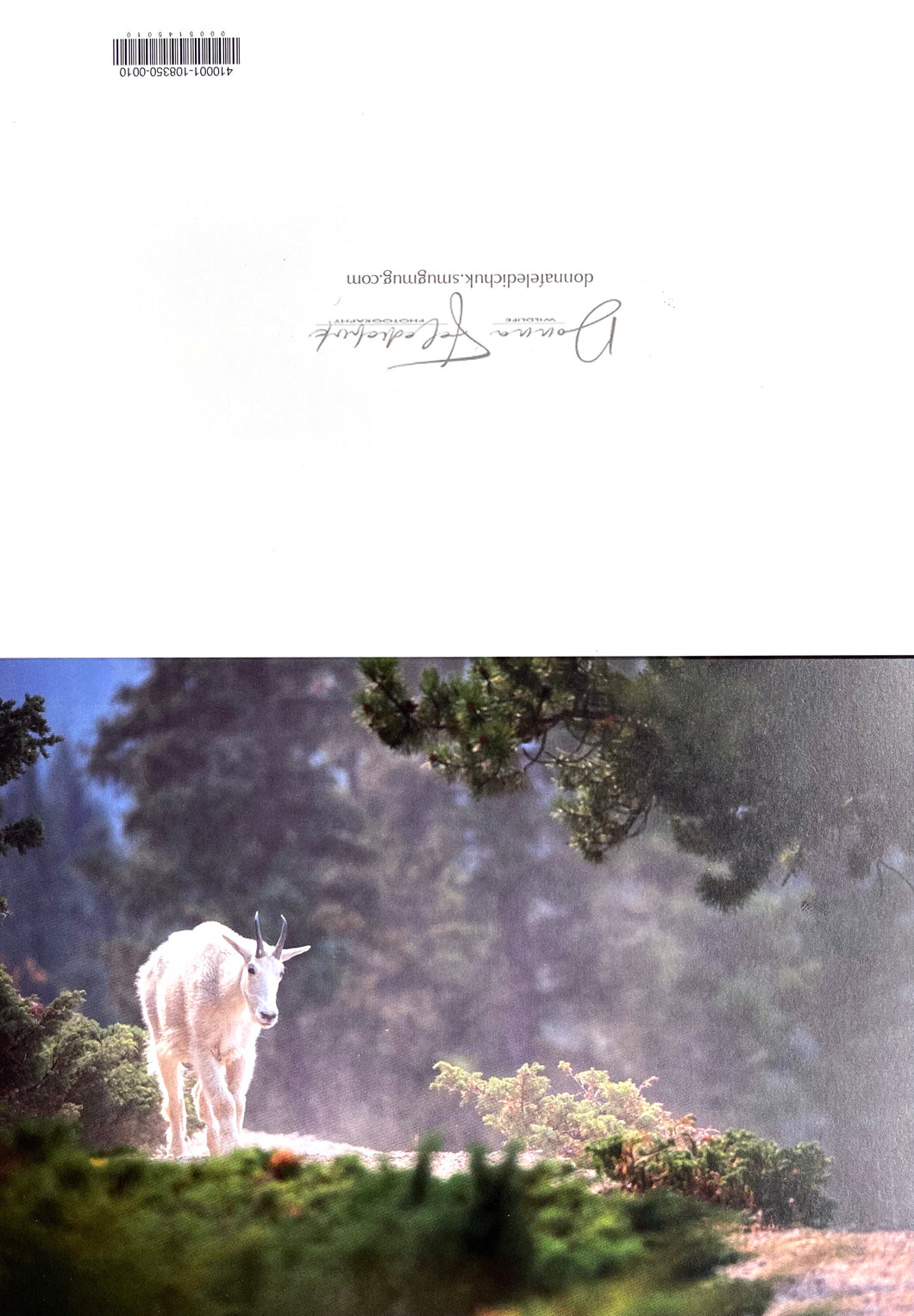 A fine art photography greeting card of a mountain goat
