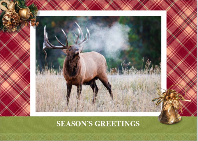 Frosty Morning 3.5" x 5' Fine Art Wildlife Photography Christmas Card - Donna Feledichuk Wildlife Photography