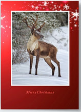 Load image into Gallery viewer, Caribou 3.5&quot; x 5&#39; Fine Art Wildlife Photography Christmas Card

