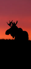 Load image into Gallery viewer, Sunset Moose Cellphone Wallpaper
