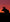 Sunset Moose Cellphone Wallpaper - Donna Feledichuk Wildlife Photography