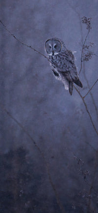 I Am Not Hedwig Cellphone Wallpaper - Donna Feledichuk Wildlife Photography