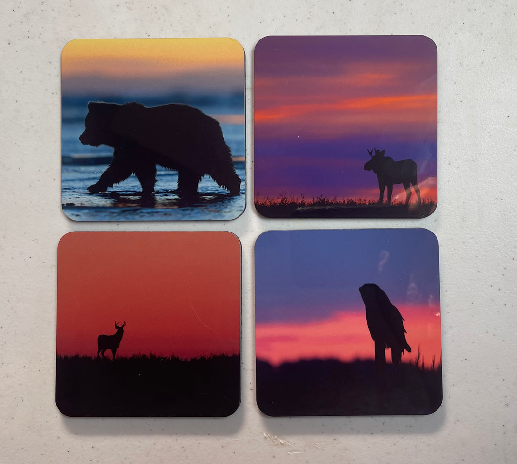 Wildlife Sunsets Square Hardboard Cork Bottom Coaster Set