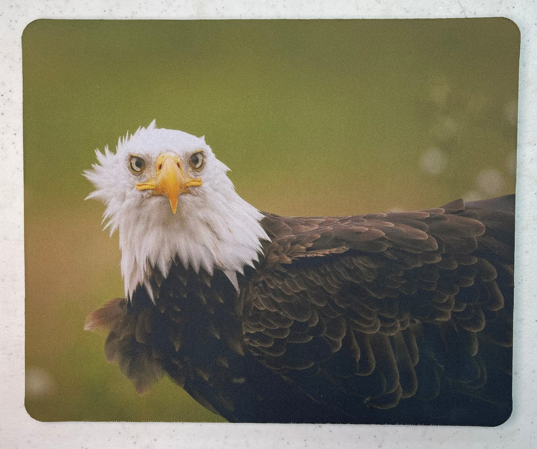 What Are You Looking At? Wildlife Photography Mousepad
