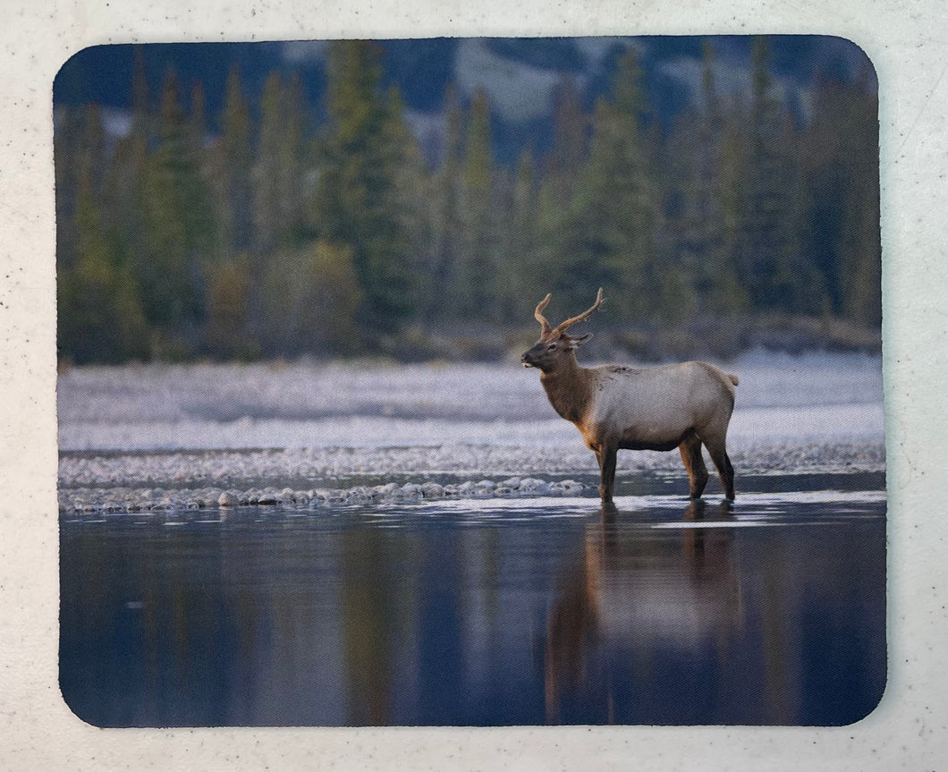River Elk Wildlife Photography Mousepad
