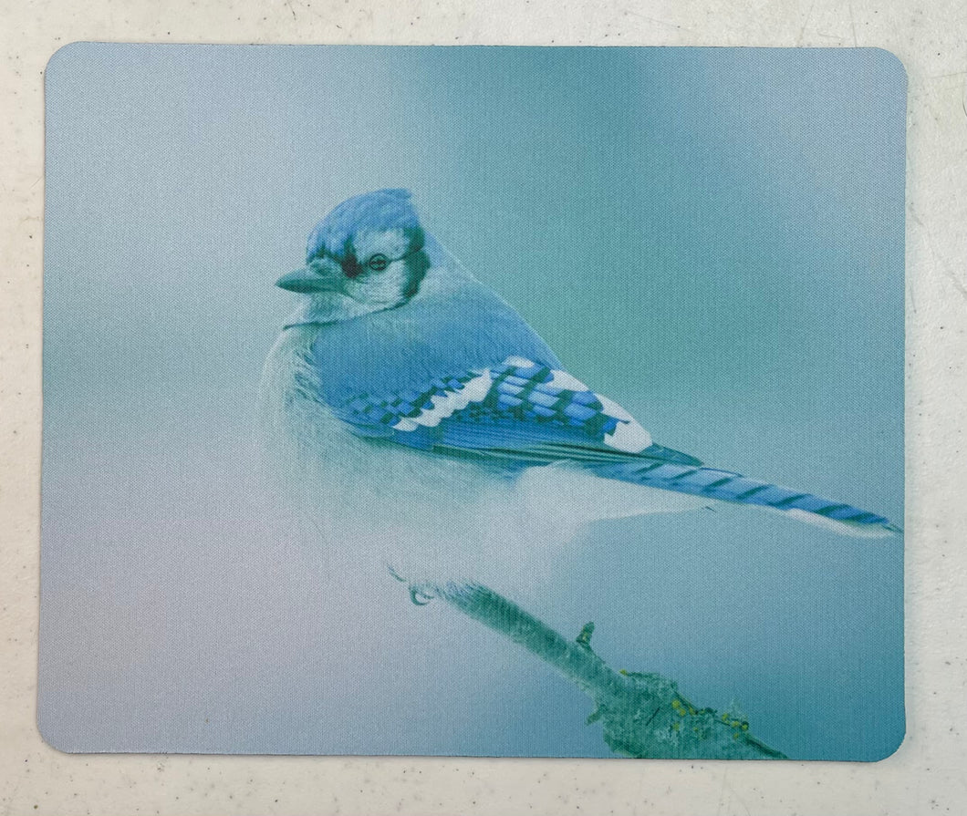 Find the beauty in the ordinary  Wildlife Photography Mousepad