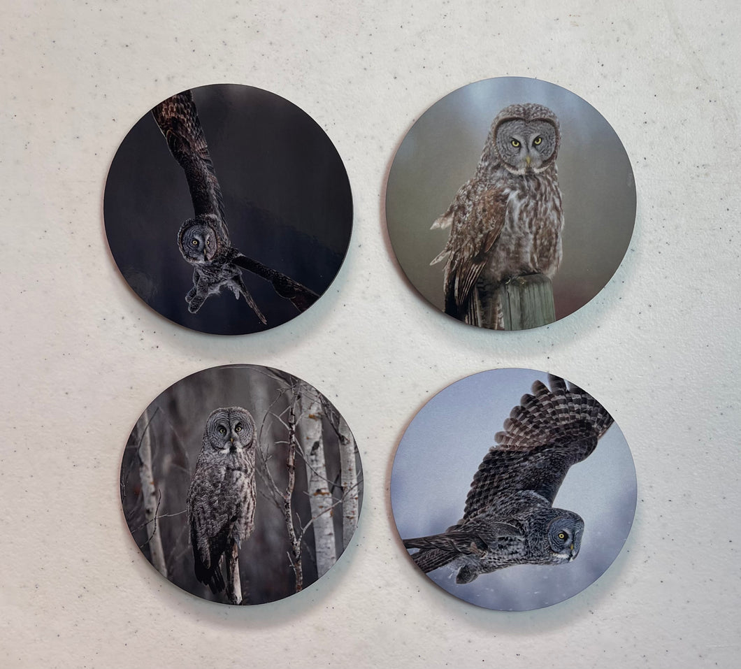 Great Gray Owls Round Hardboard Cork Bottom Coaster Set